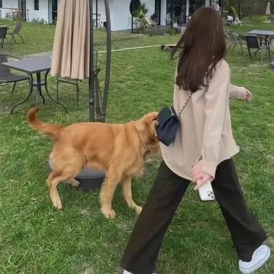 狂欢节